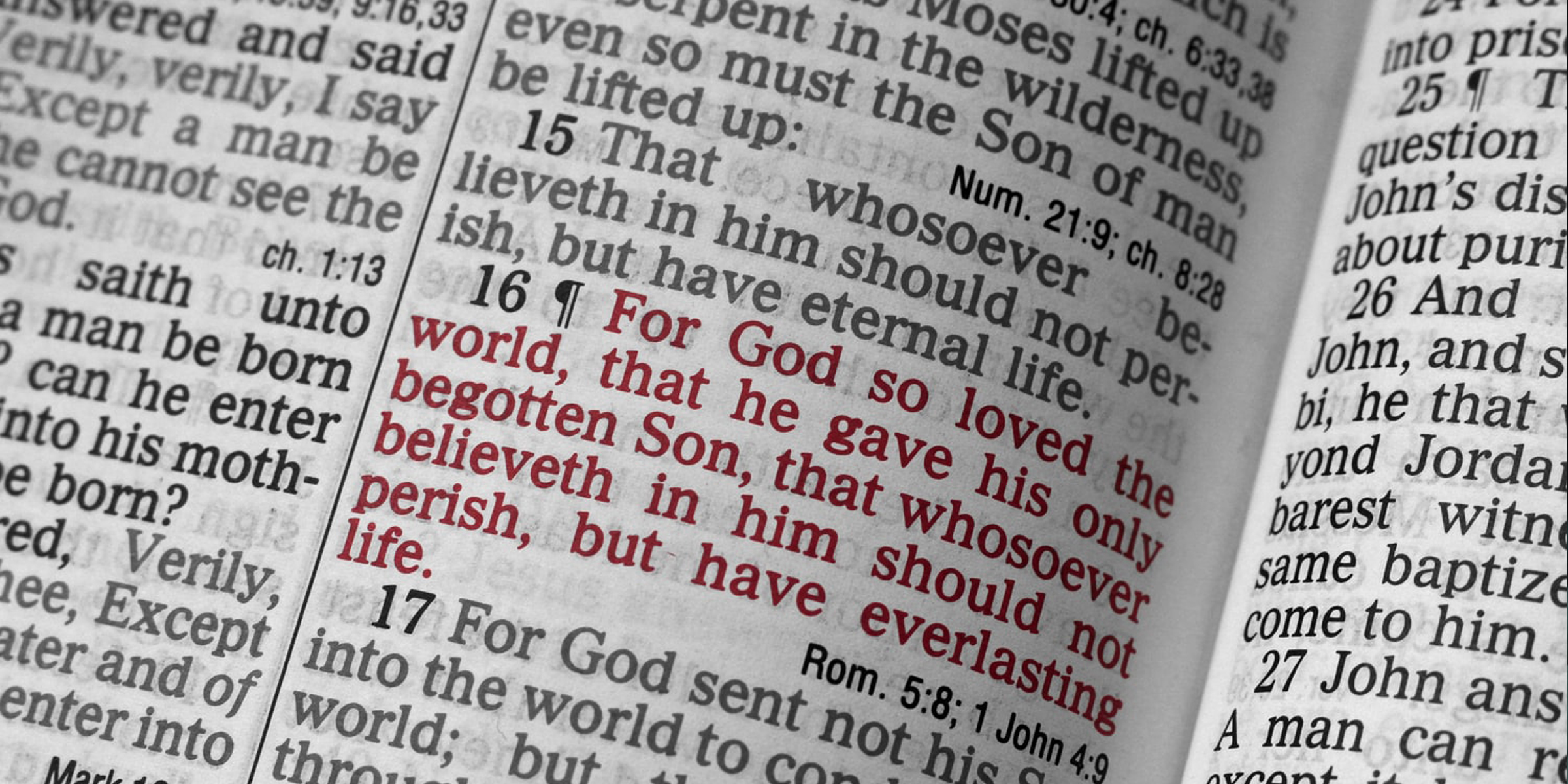 John 3:16 Bible Verse